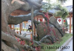 定襄拓展基地